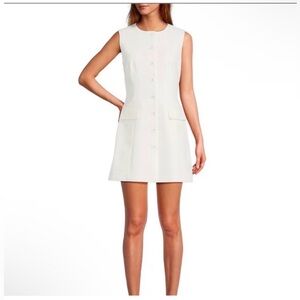 NWT: Antonio Melani Gianna Round Neck Sleeveless Button Front Dress